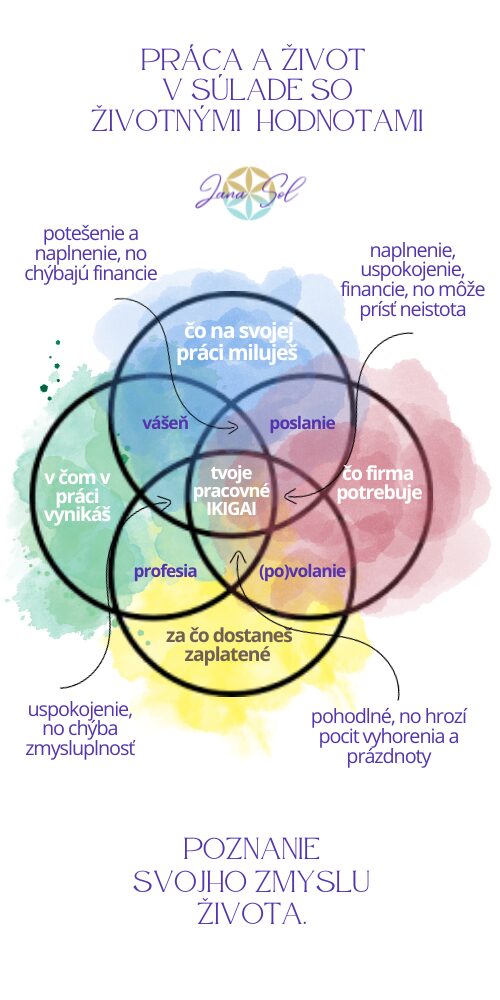 ikigai employee koucing jana sol