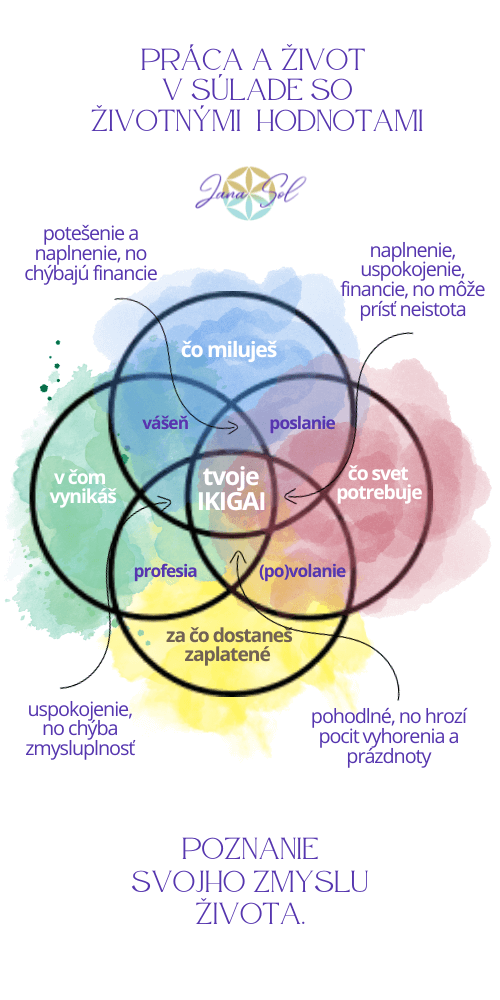biznis ikigai koucing